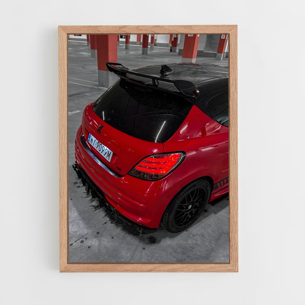 ap-206 gti-3 cadre Bois clair