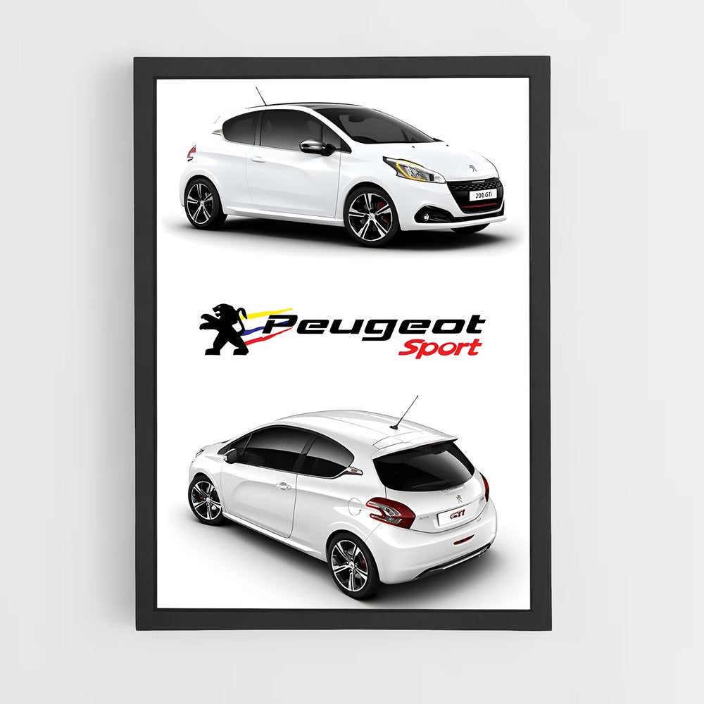 ap-208 gti-5 cadre Noir
