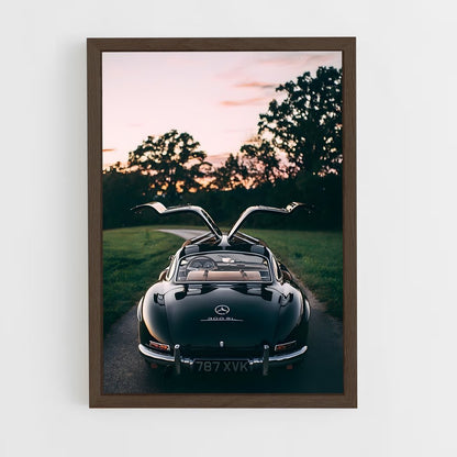 ap-300sl gullwing-2 cadre Bois foncé