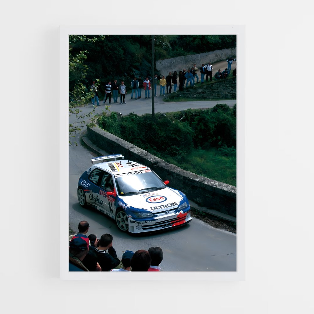 ap-306 rallye-1 cadre Blanc