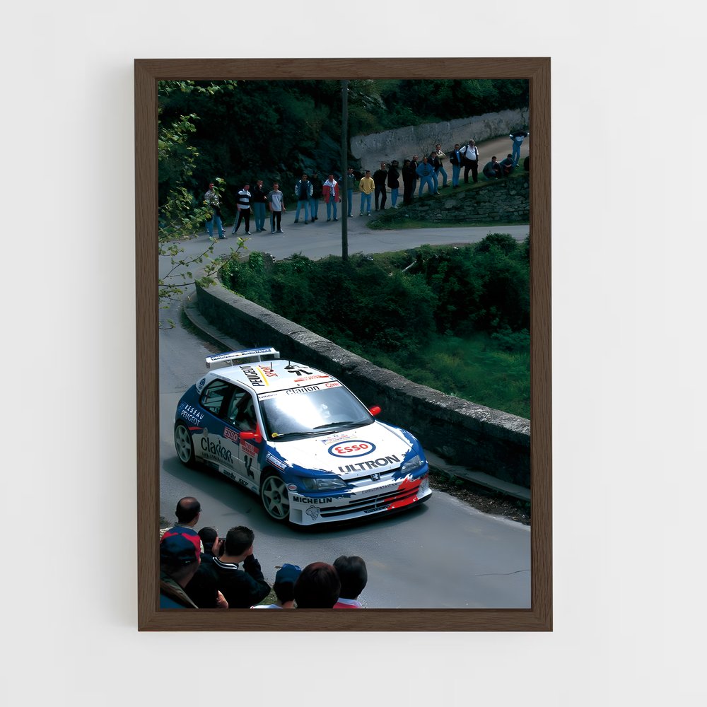 ap-306 rallye-1 cadre Bois foncé