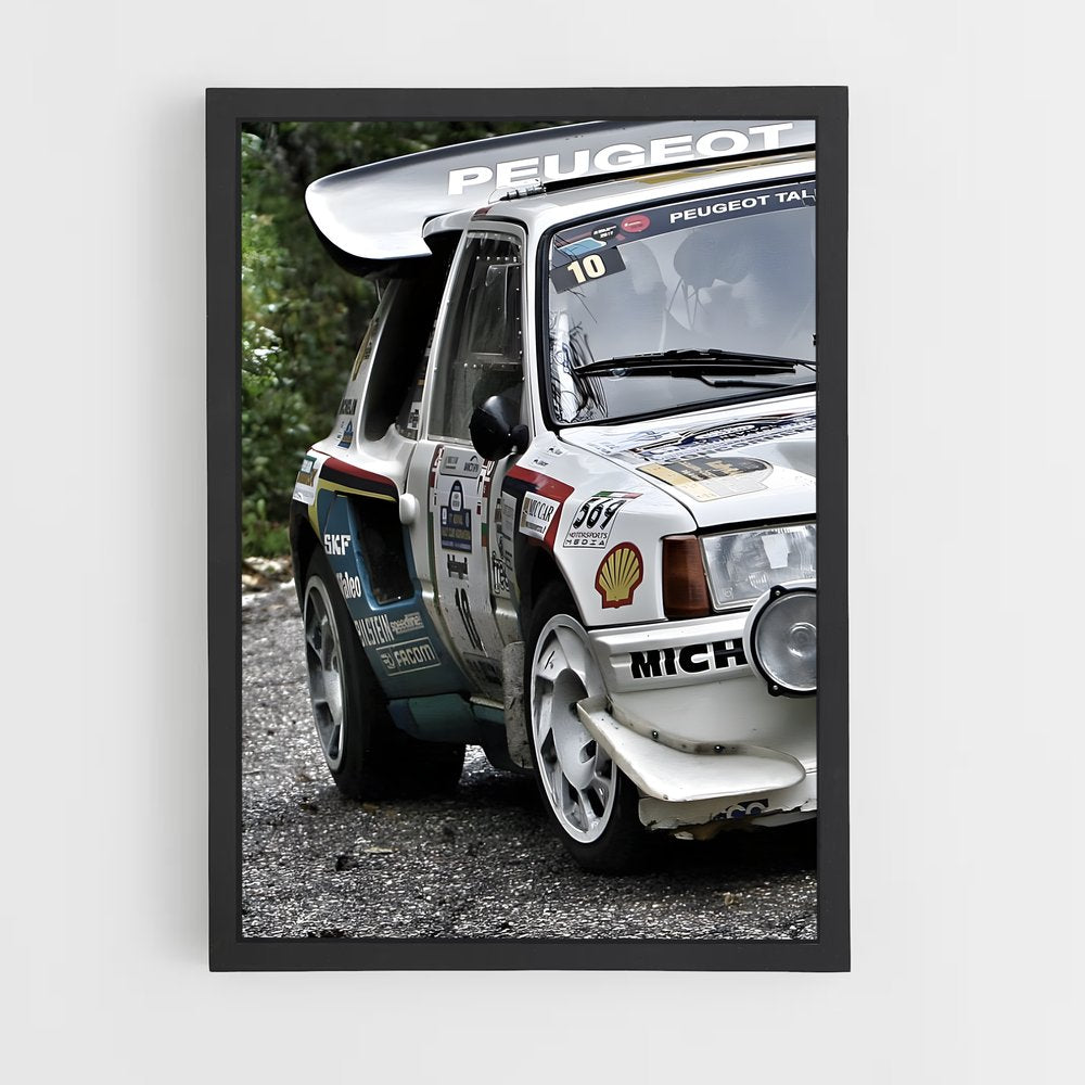 ap-306 rallye-2 cadre Noir