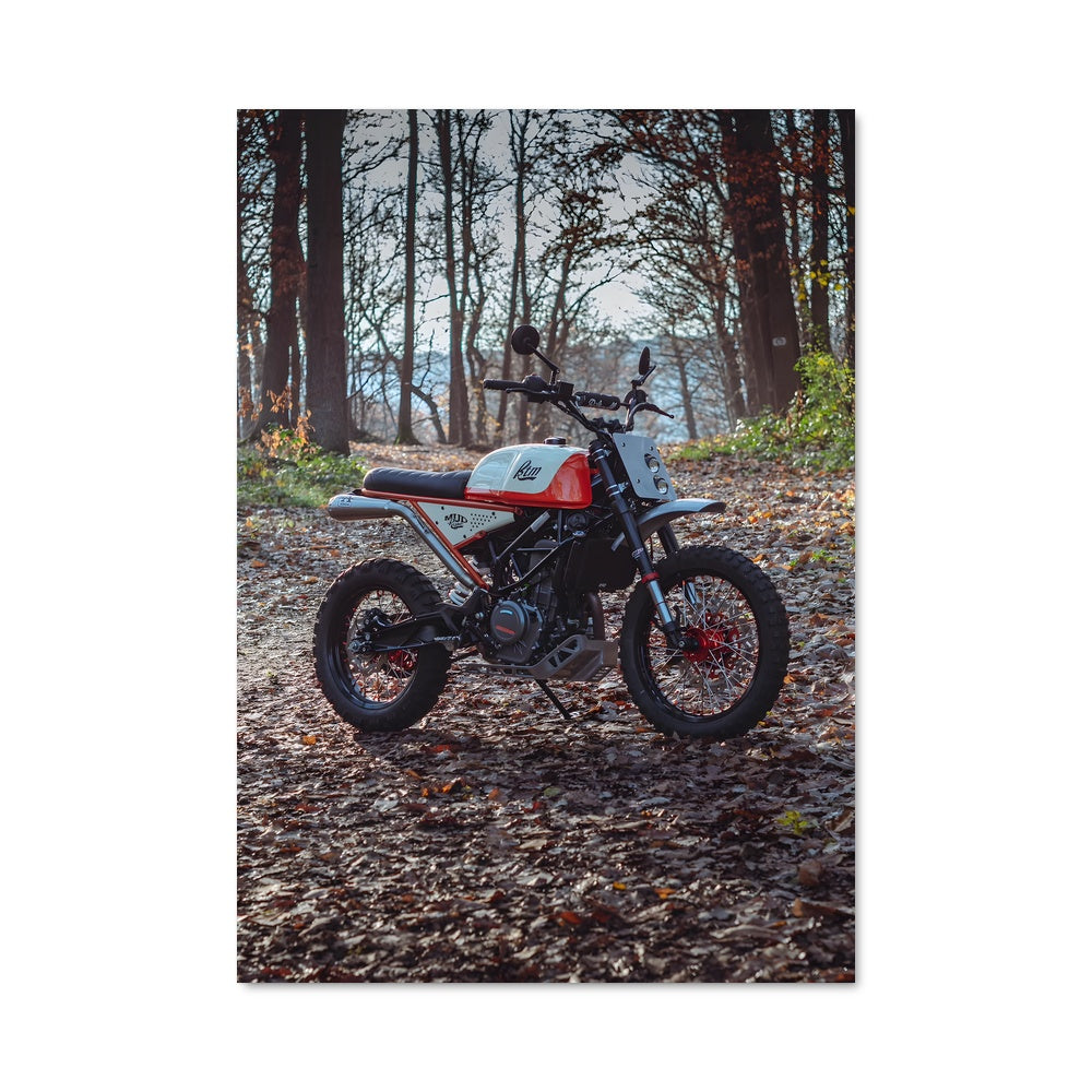 Poster Ride in the Woods