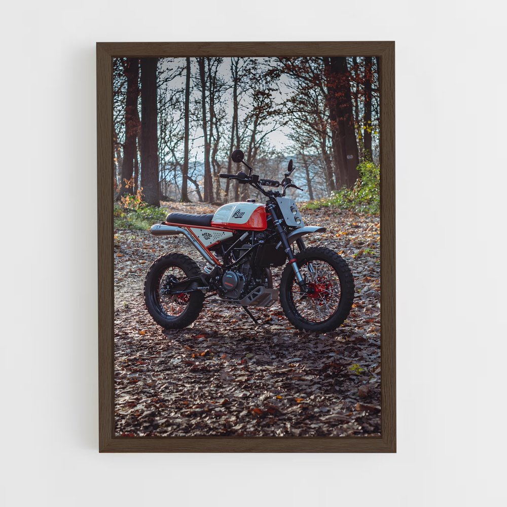 ap-390 adventure-3 cadre Bois foncé
