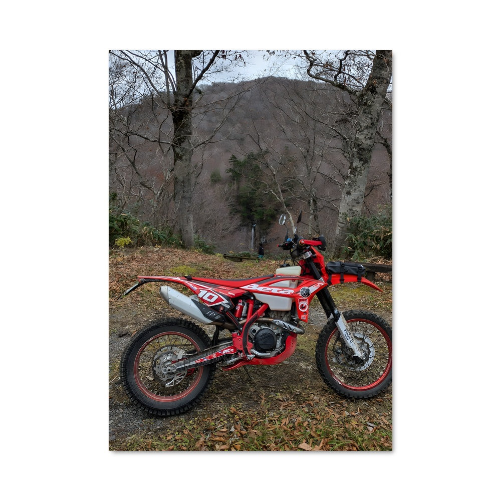 Poster 430 rr-s 81894