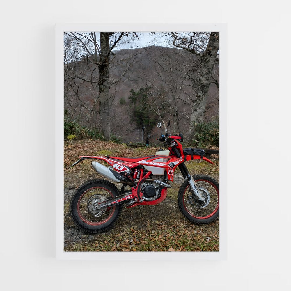 ap-430 rr-s-2 cadre Blanc