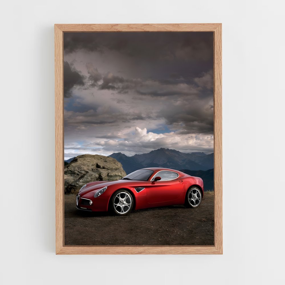 ap-8c competizione-2 cadre Bois clair