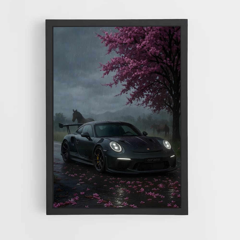 ap-911 gt3 rs-3 cadre Noir