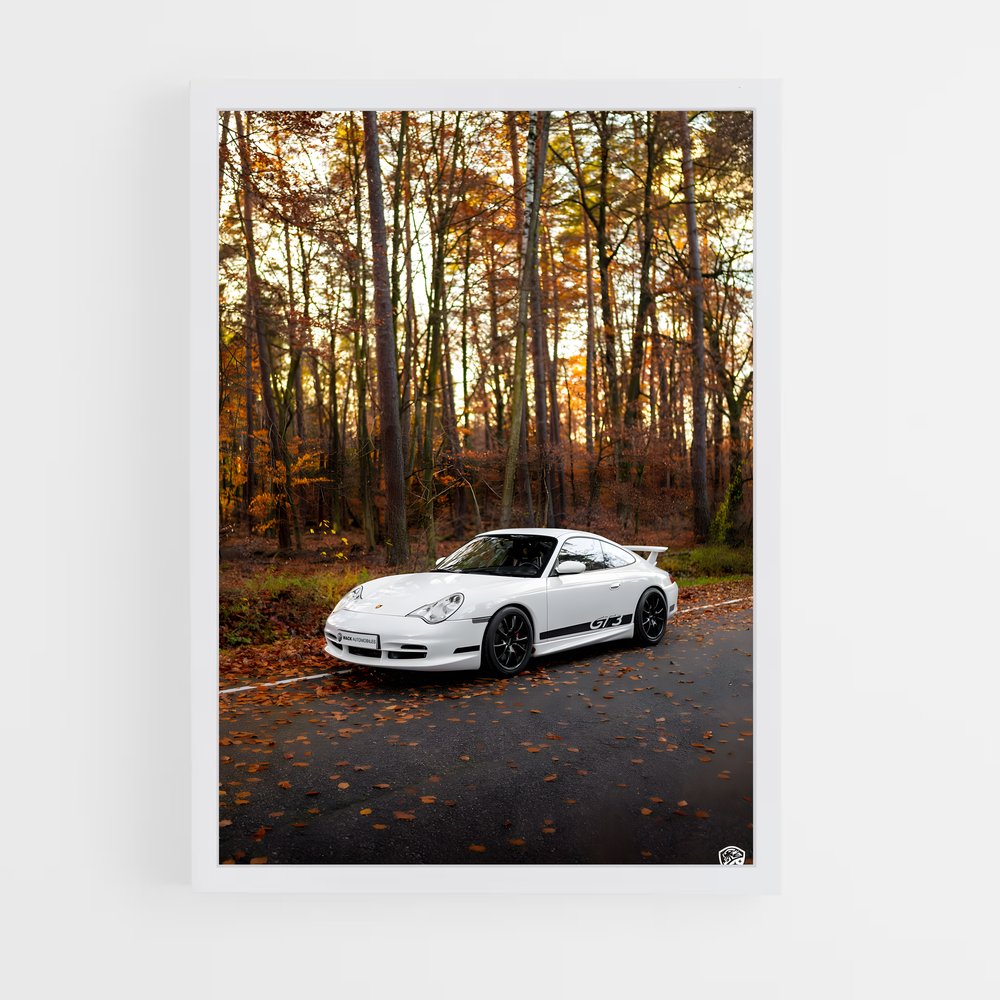 ap-996 gt3-1 cadre Blanc