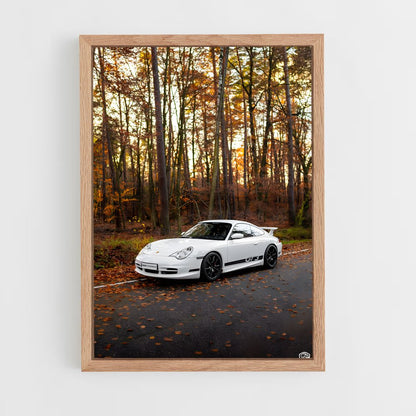 ap-996 gt3-1 cadre Bois clair