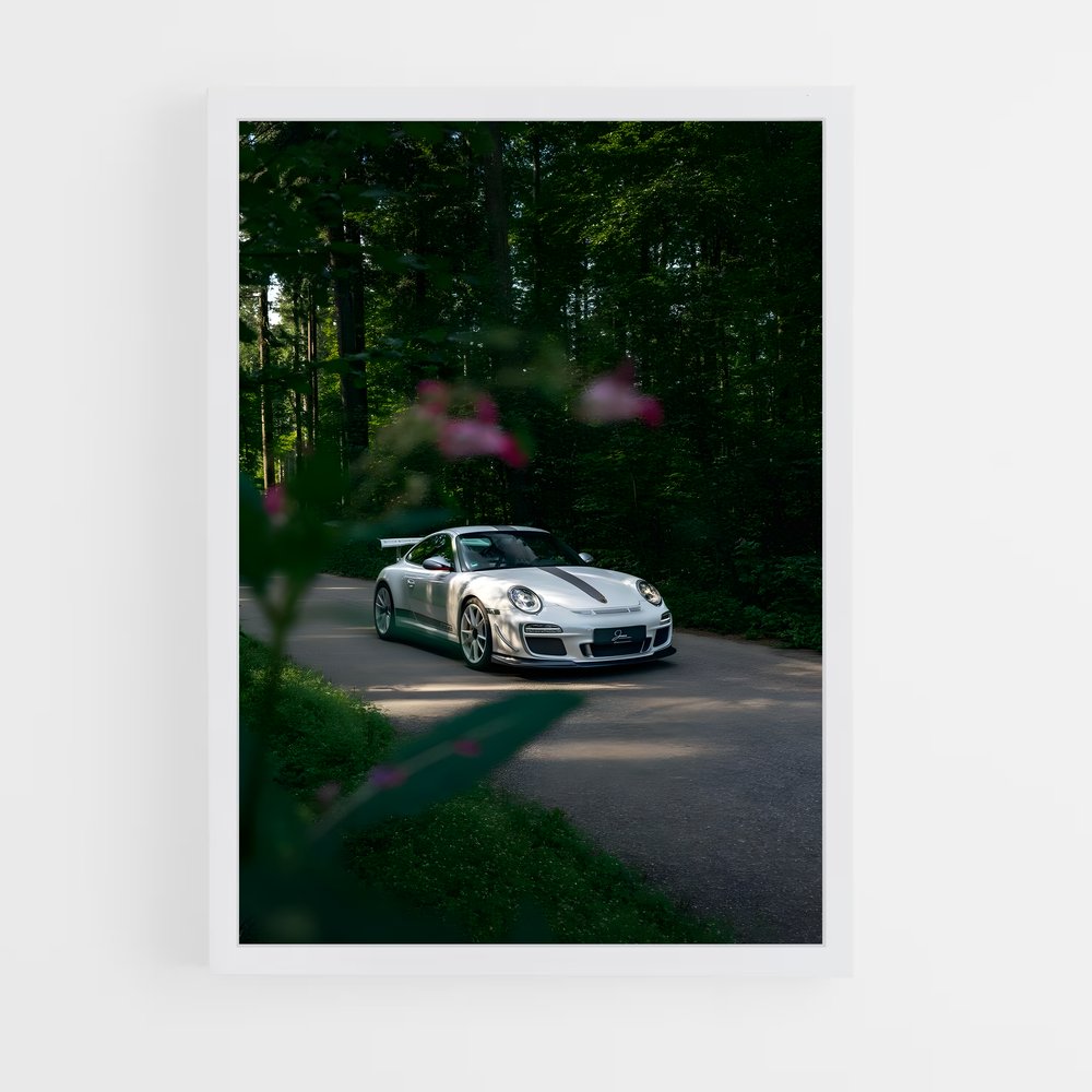 ap-997 gt3 rs-2 cadre Blanc