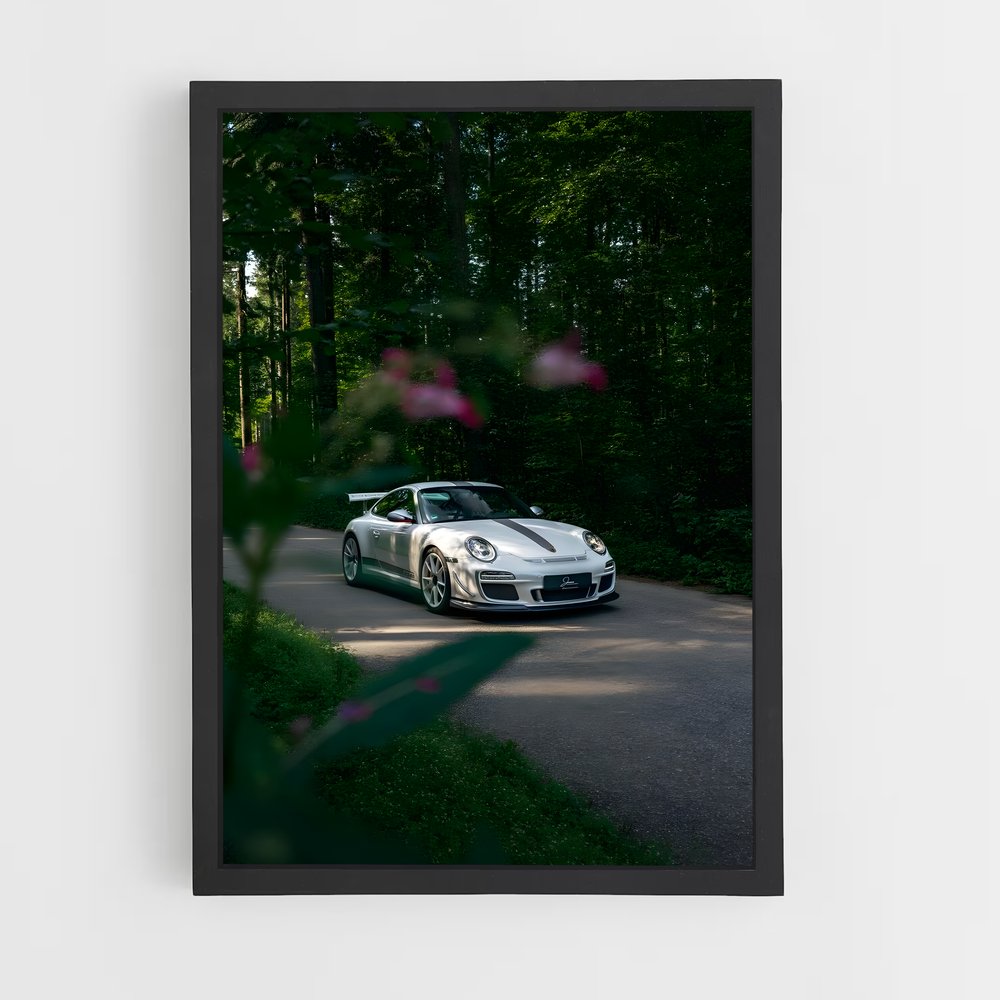 ap-997 gt3 rs-2 cadre Noir