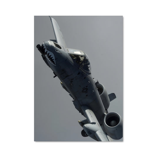 Poster Avengers du Ciel