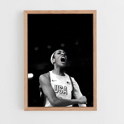 ap-a'ja wilson-5 cadre Bois clair
