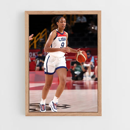 ap-a'ja wilson-6 cadre Bois clair