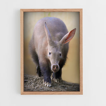 ap-aardvark-1 cadre Bois clair