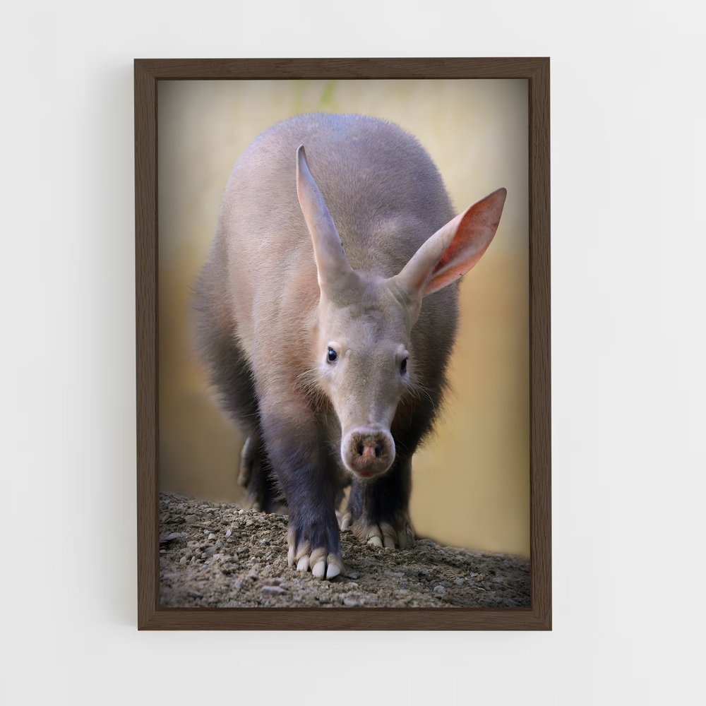 ap-aardvark-1 cadre Bois foncé
