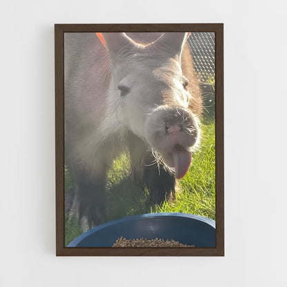 ap-aardvark-2 cadre Bois foncé