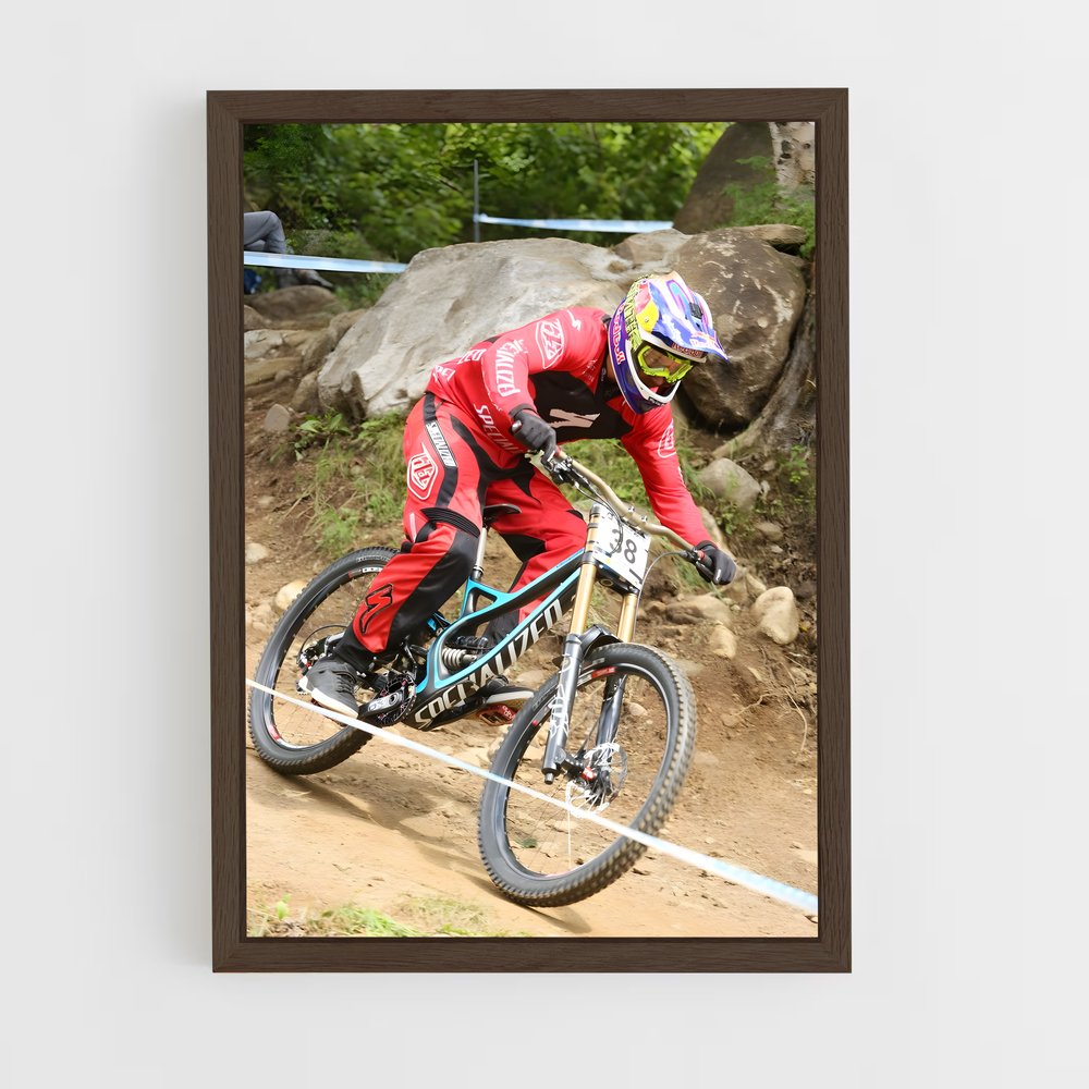 ap-aaron gwin-1 cadre Bois foncé