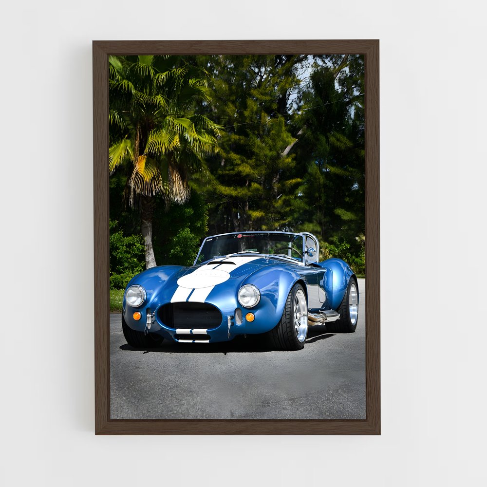 ap-ac cobra-1 cadre Bois foncé