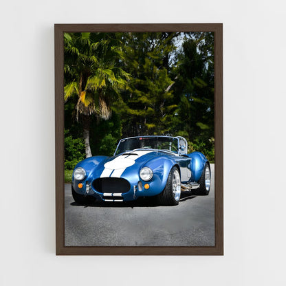 ap-ac cobra-1 cadre Bois foncé