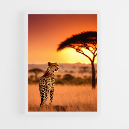 ap-acacia trees-7 cadre Blanc