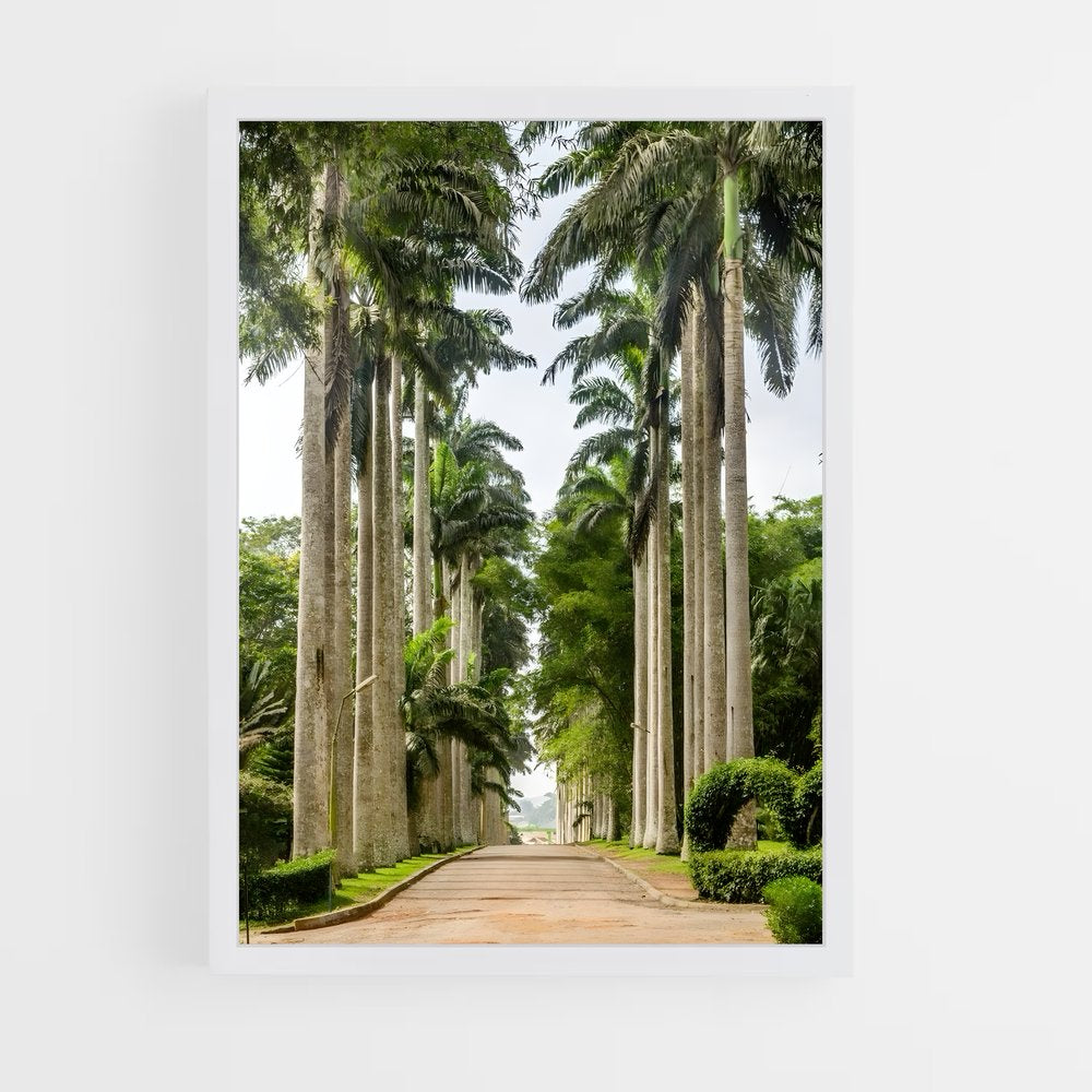 ap-accra-7 cadre Blanc