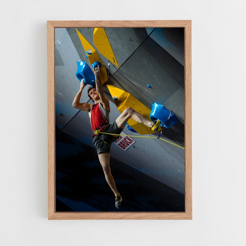 ap-adam ondra-7 cadre Bois clair