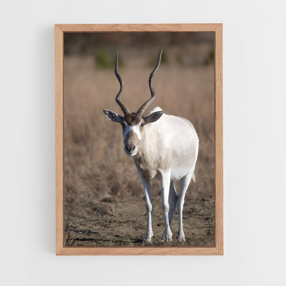 ap-addax-1 cadre Bois clair
