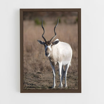 ap-addax-1 cadre Bois foncé