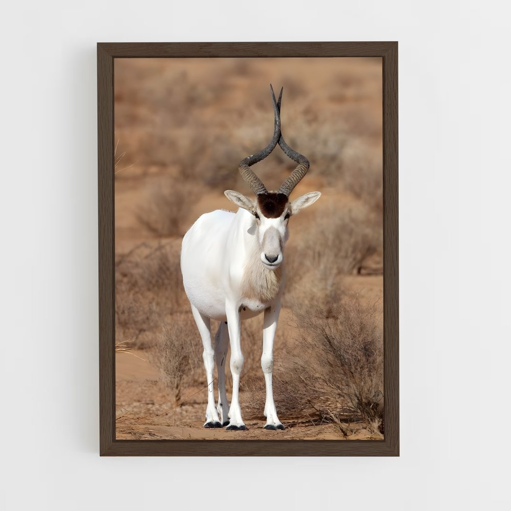 ap-addax-2 cadre Bois foncé