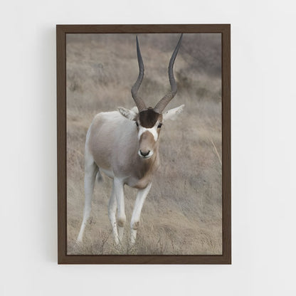 ap-addax-4 cadre Bois foncé