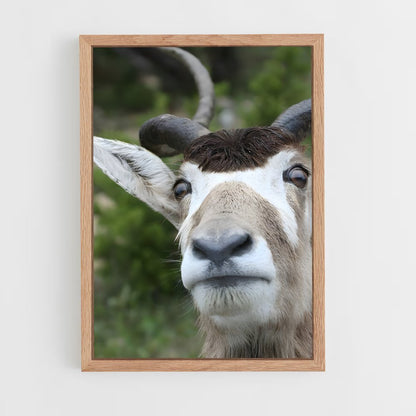 ap-addax-5 cadre Bois clair