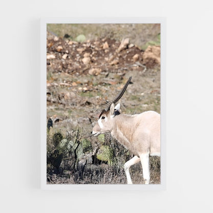 ap-addax-7 cadre Blanc