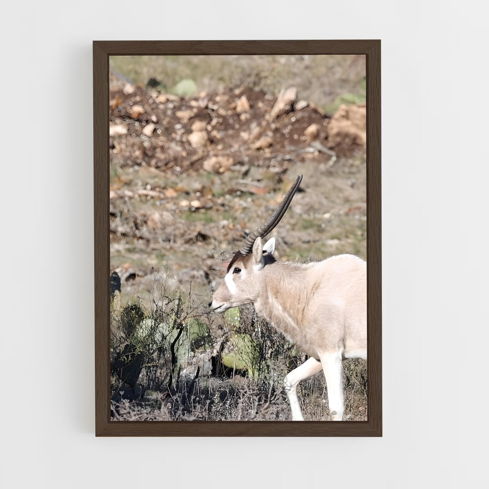 ap-addax-7 cadre Bois foncé