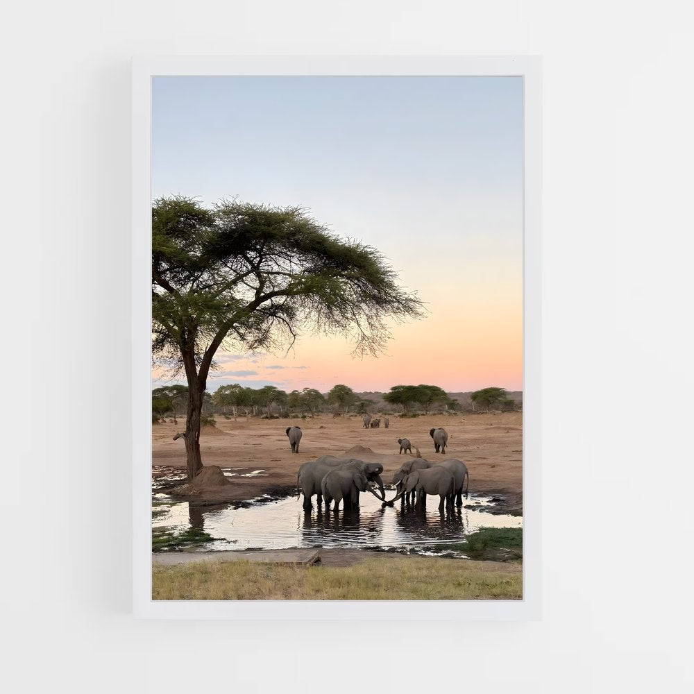 ap-africa-1 cadre Blanc