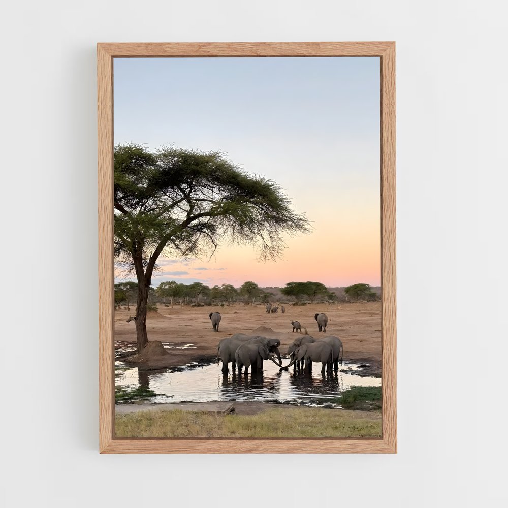ap-africa-1 cadre Bois clair