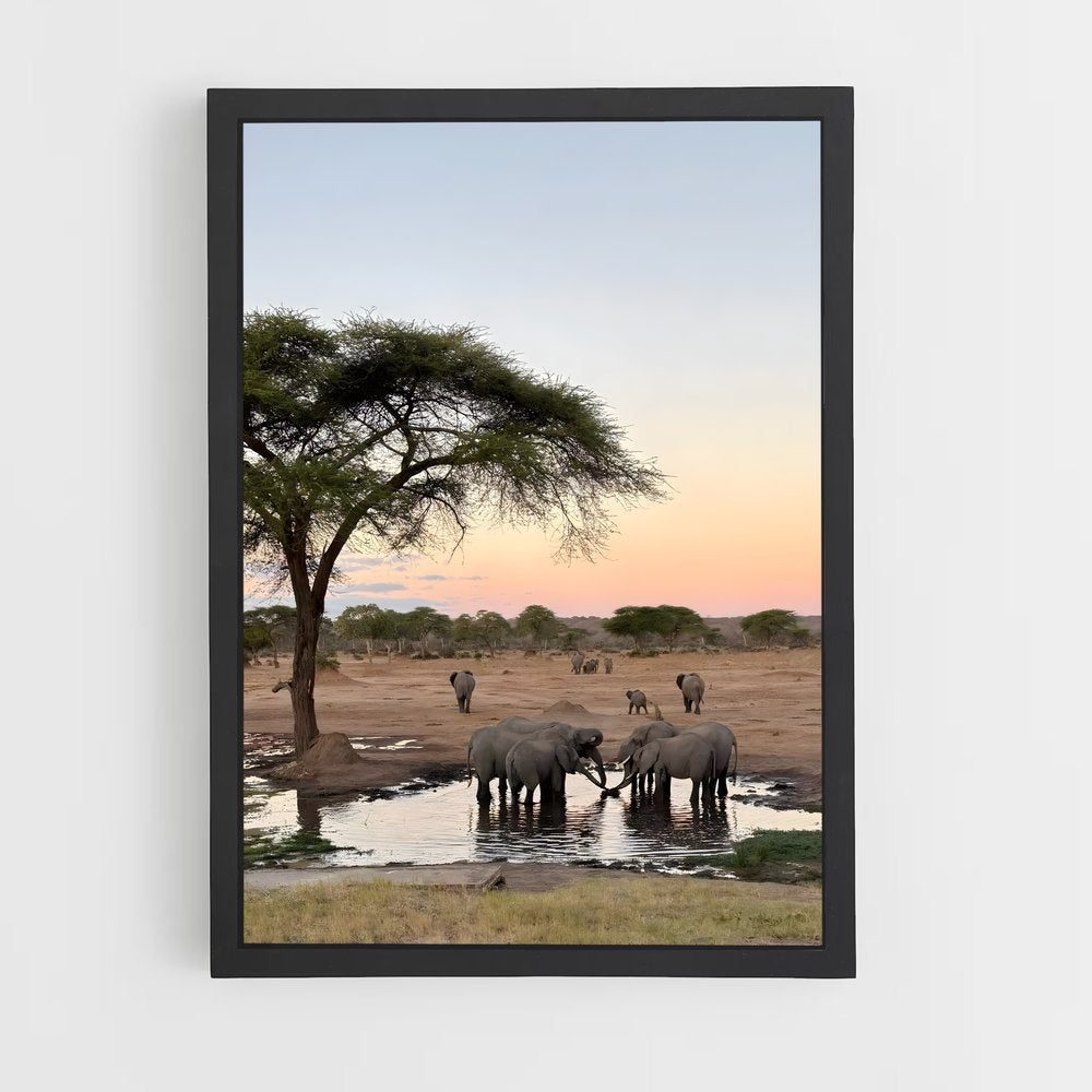 ap-africa-1 cadre Noir
