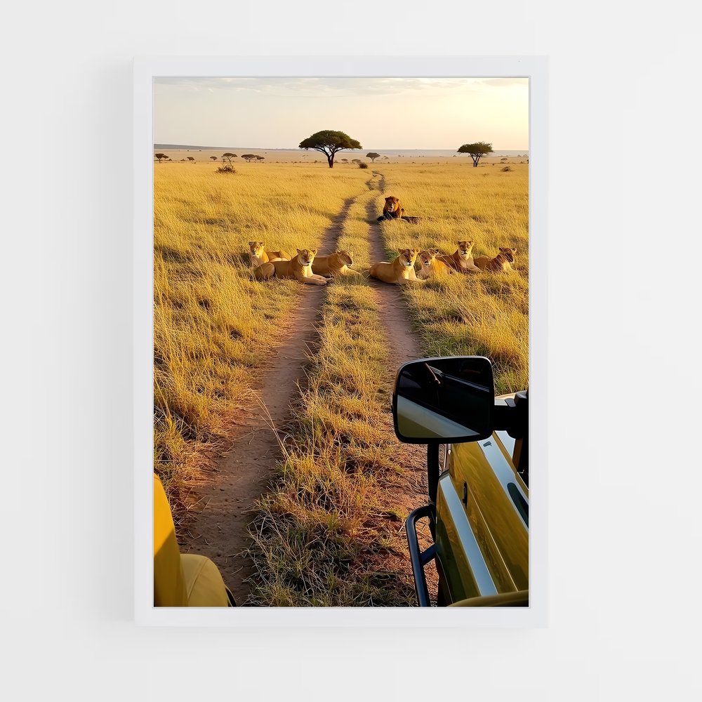 ap-africa-2 cadre Blanc