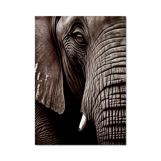 Poster Élégance Ébène