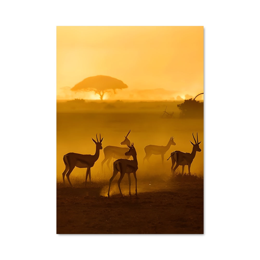 Poster La Savane Enchanteuse
