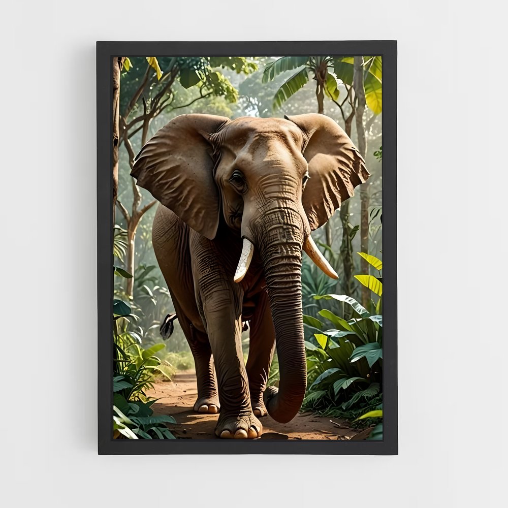 ap-african elephant-3 cadre Noir