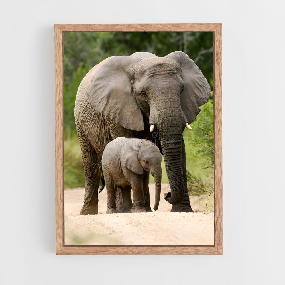 ap-african elephant-6 cadre Bois clair