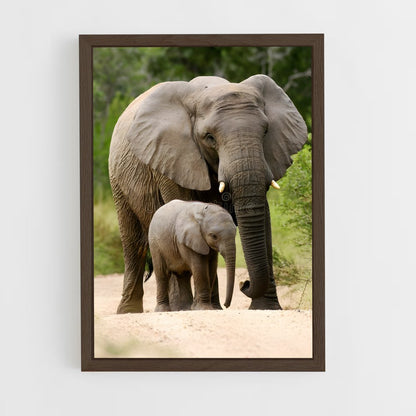 ap-african elephant-6 cadre Bois foncé