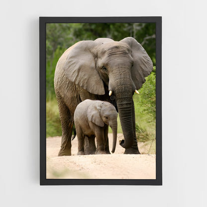 ap-african elephant-6 cadre Noir