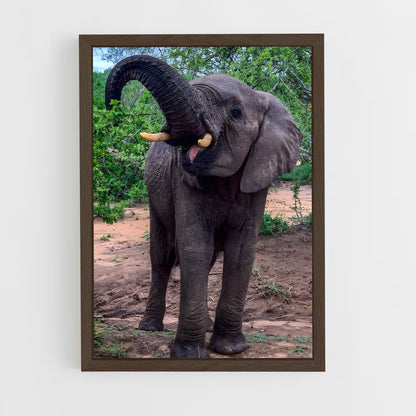 ap-african elephant-7 cadre Bois foncé