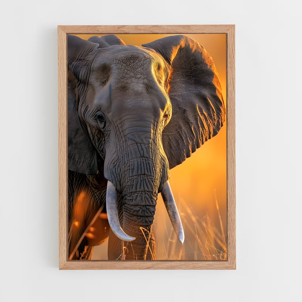ap-african elephant-8 cadre Bois clair
