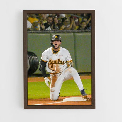 ap-aguilas cibaenas-2 cadre Bois foncé