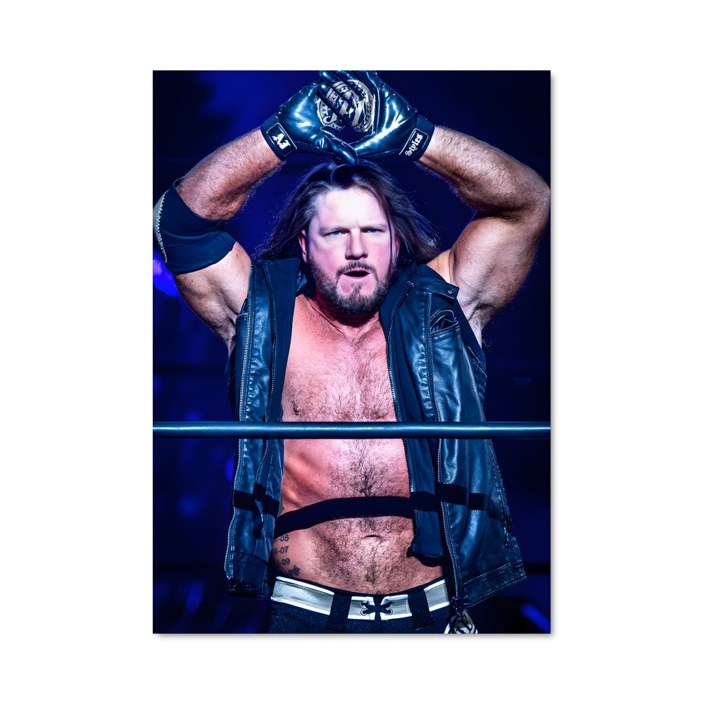 Poster The Bearded Champion