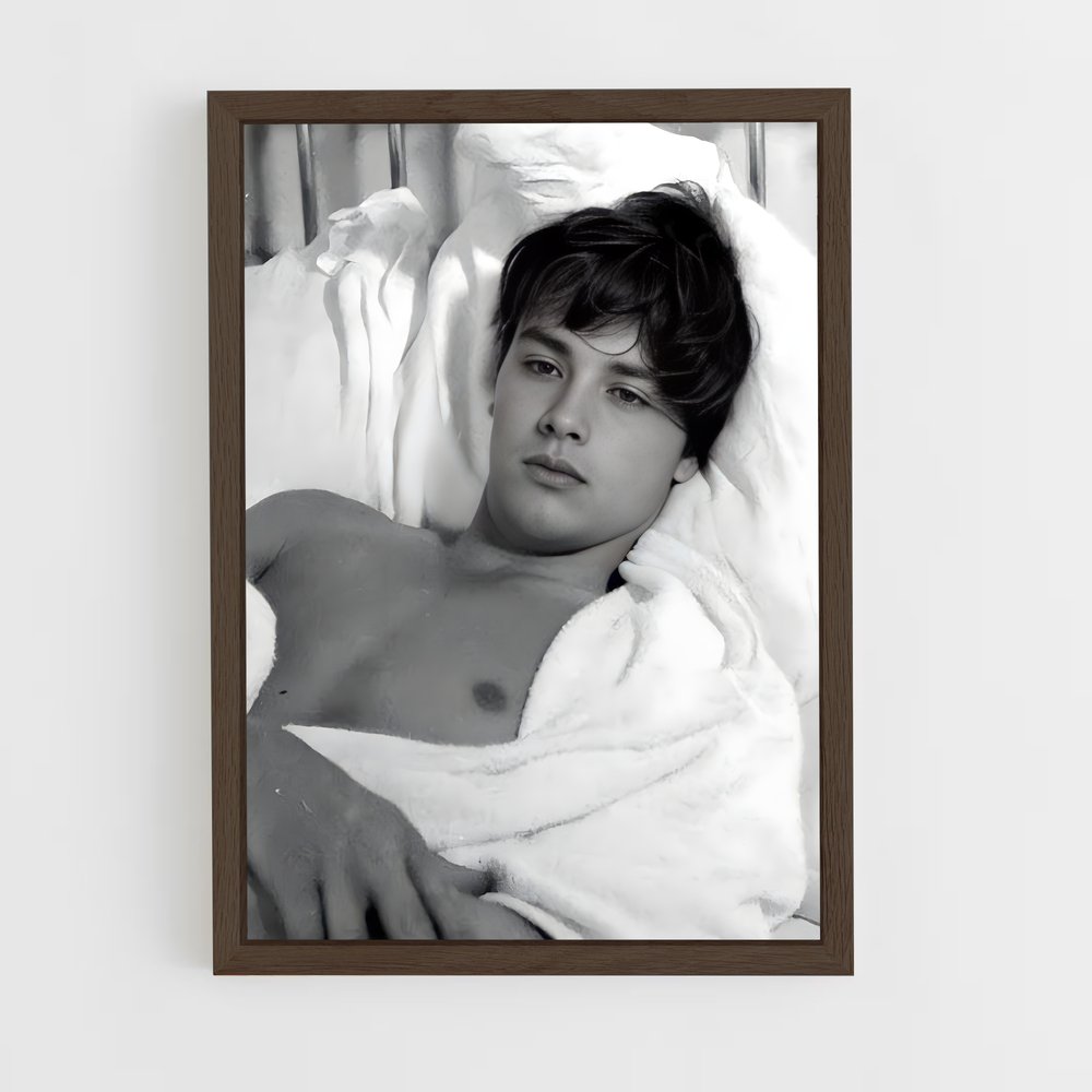 ap-alain delon-10 cadre Bois foncé